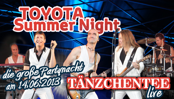 Toyota Summer Night 2013